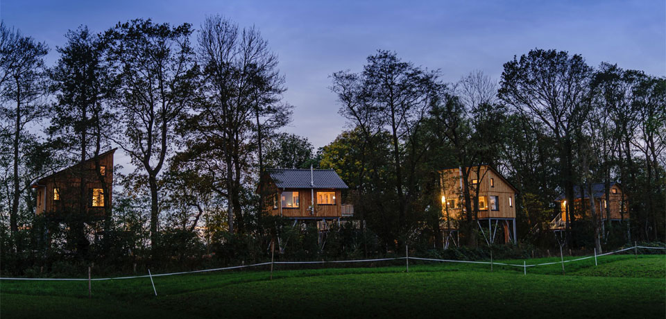 mein-baumhaus-header