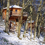 Baumhaushotel Seemühle