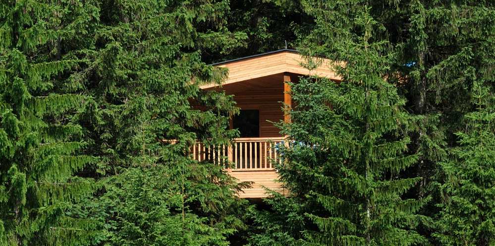 Ein modernes Baumhaus vom Hotel Kranzbach aus Holz mit Balkon, umgeben von dichten grünen Nadelbäumen
