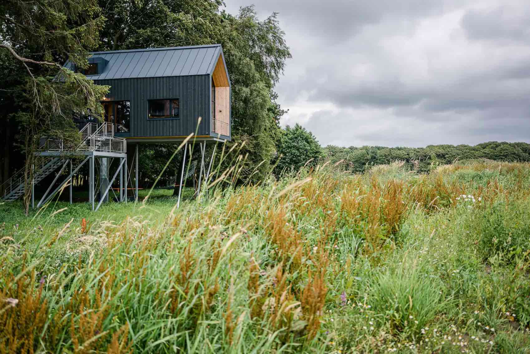 Modernes Tiny House auf Stützen mit Außentreppe in einer naturbelassenen Wiesenlandschaft