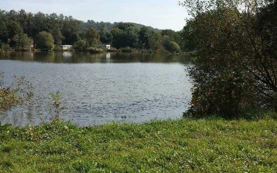 Uferbereich eines Sees mit grünen Büschen, Bäumen und zwei kleinen weißen Wohnwägen in der Ferne