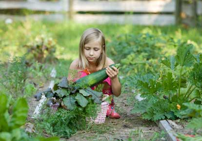 Mädchen kniet im Gartenbeet und hält eine große Zucchini in den Händen