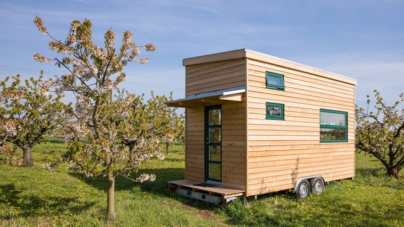 Ein Tiny House mit Pultdach, Holzfassade und grünen Fensterrahmen steht in einer blühenden Obstbaumwiese