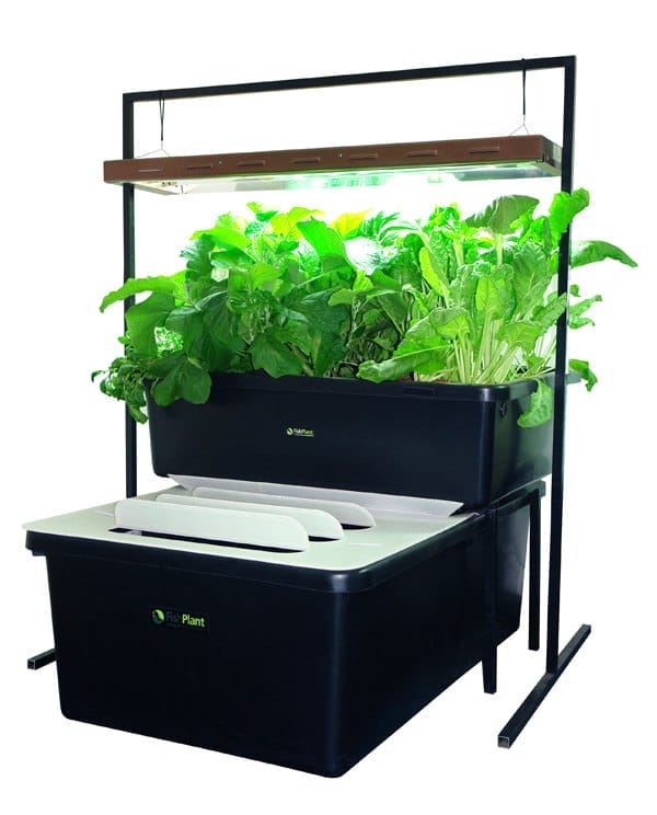 Aquaponik-System von FishPlant mit Fischtank, Pflanzbeet und Pflanzen unter einer Lampe