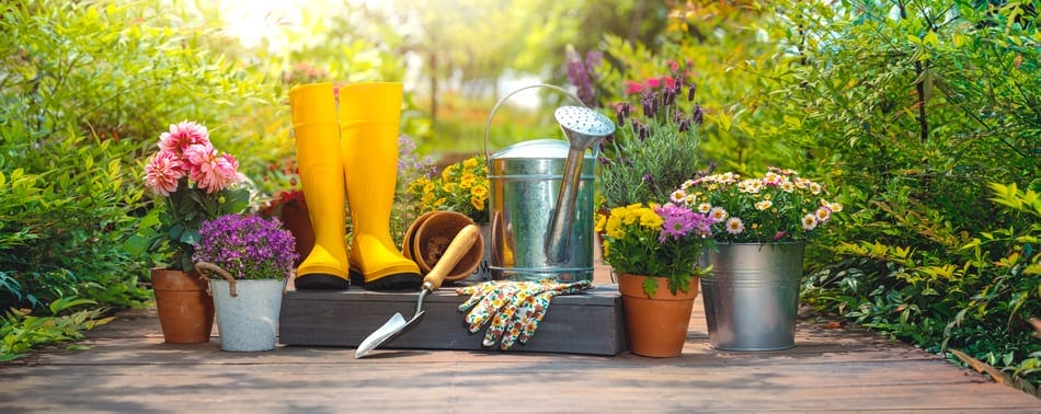 Gelbe Gummistiefel, eine Gießkanne, Gartenhandschuhe, Schaufel und bunte Blumen auf einer Holzterrasse im Garten