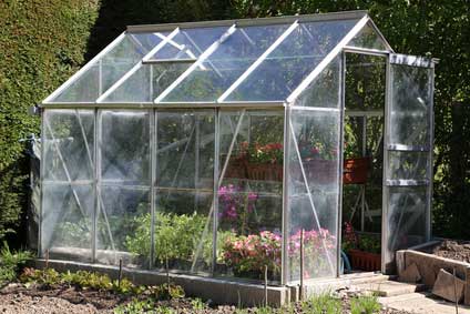 Ein Gewächshaus aus Glas und Metall im Garten, mit Pflanzen und Blumen darin