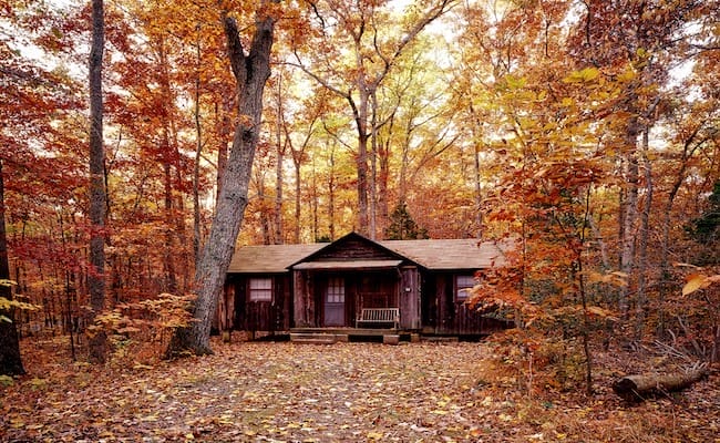 Ein Minihaus im Herbstwald, umgeben von Bäumen mit bunten Blättern