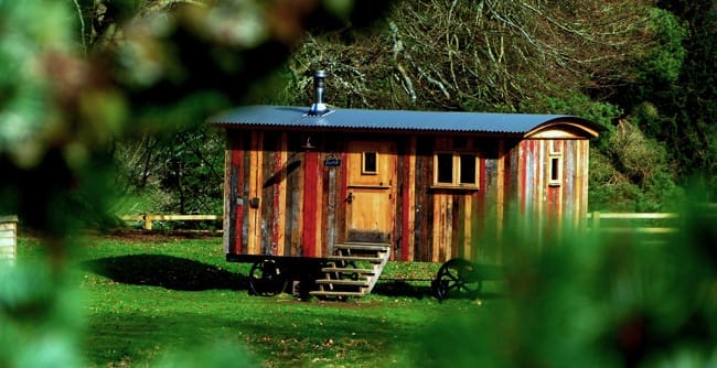 Rustikales Tiny House mit Holzverkleidung und Rädern auf einer grünen Wiese