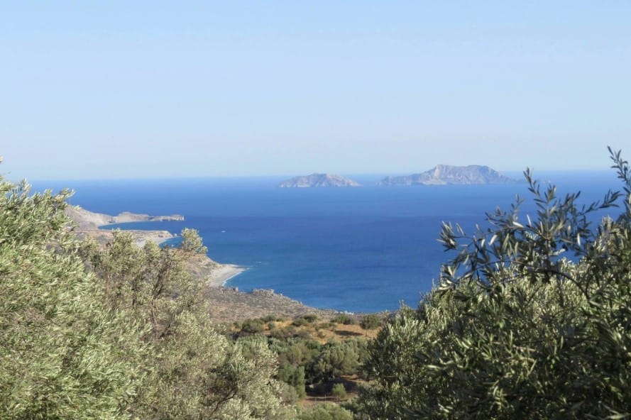 Blick von Kreta über Olivenbäume hinweg auf das blaue Mittelmeer mit Inseln am Horizont