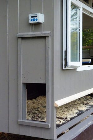 Der Hühnerstall mit geöffnetem Kükenfenster und einer Luke sowie einem automatischen Fensteröffner von Chicken Guard’ner der