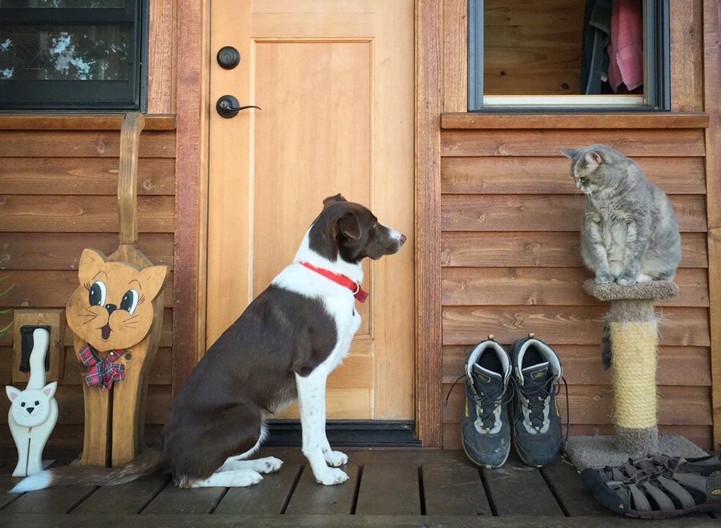 Ein Hund und eine Katze sitzen vor einer Holzhütte, der Hund blickt die Katze an