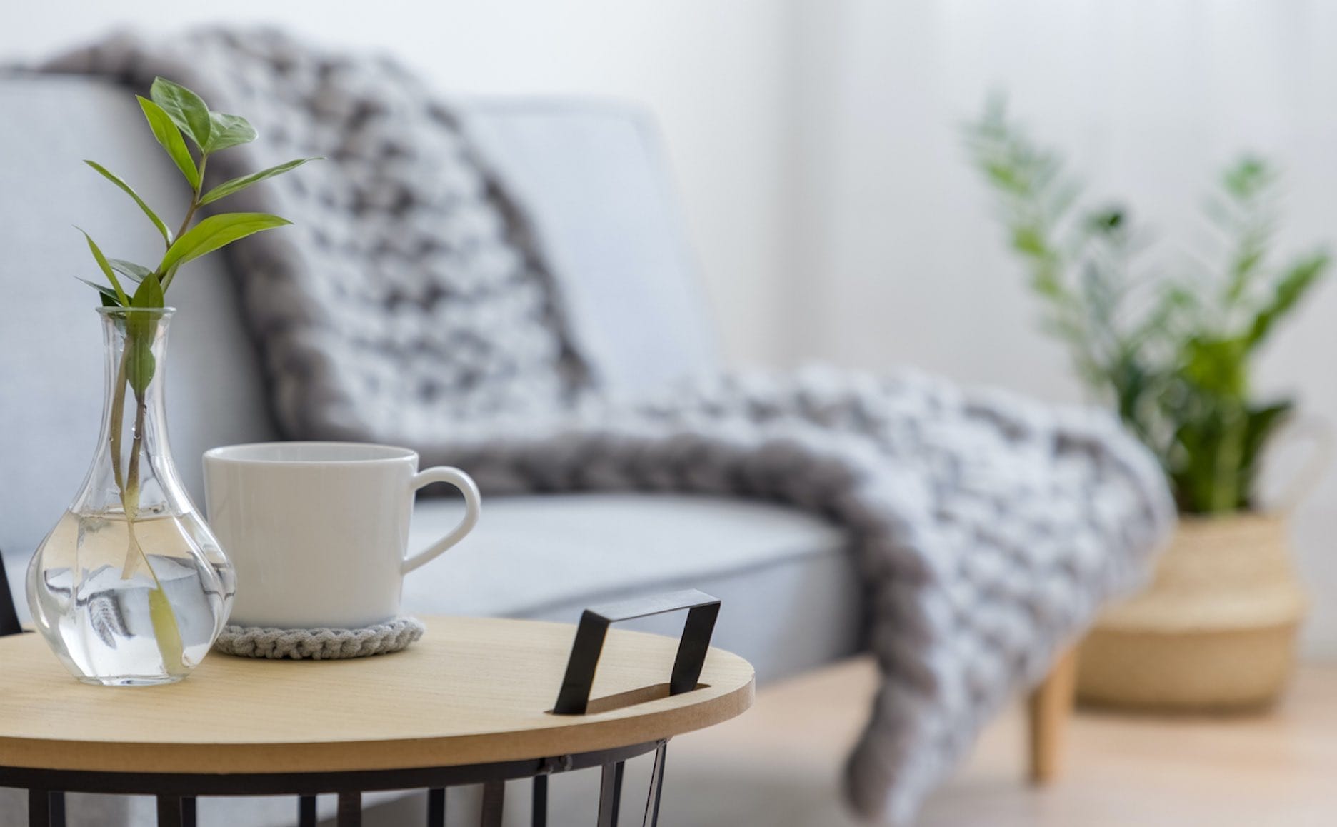 Ein minimalistisch eingerichtetes Wohnzimmer mit einem Sideboard, Pflanze und Tasse vor einem Sofa