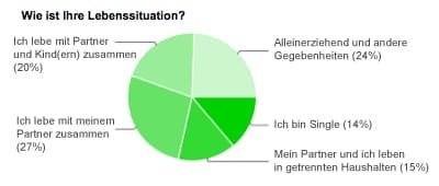 Kreisdiagramm zum Thema Lebenssituation der Befragten, Umfrage Minihaus 2013