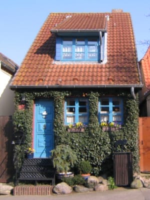 Ein kleines, mit Efeu bewachsenes Haus mit blauer Tür, blauen Fenstern und rotem Ziegeldach