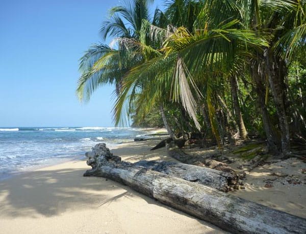 Strand von Manzanillo in Costa Rica mit Palmen, karibischem Meer und Wellen, blauer Himmel