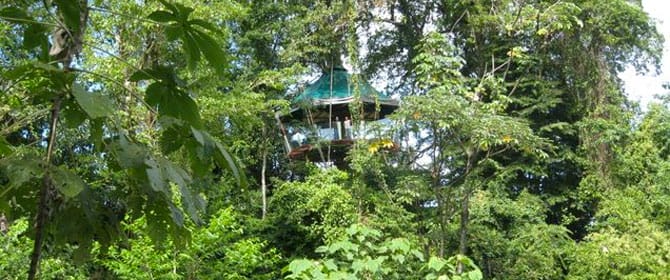Ein Baumhaus-Observatorium mit grünem Dach und gläsernen Wänden zwischen dichten Bäumen im Dschungel von Costa Rica