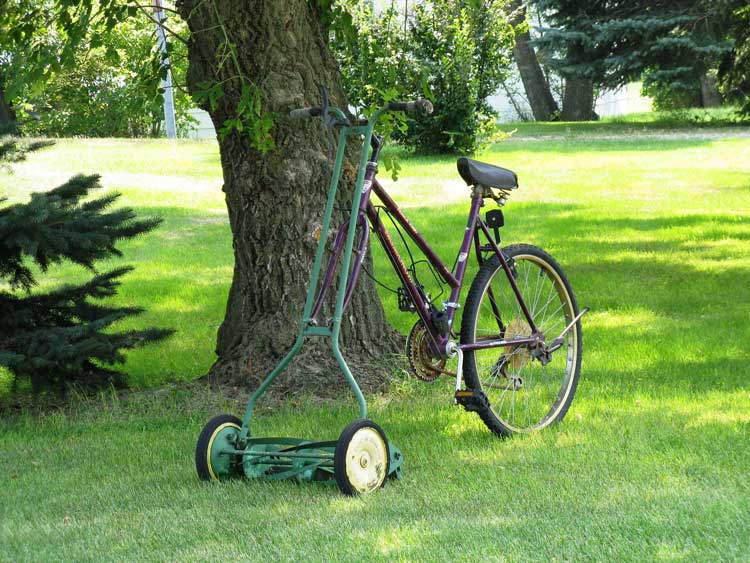 Ein alter Spindelmäher und ein lila Fahrrad lehnen an einem Baum auf einer grünen Wiese