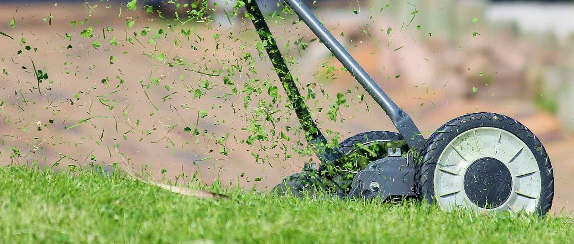 Rasenmäher vor grüner Wiese schneidet Gras, Grashalme fliegen durch die Luft