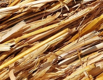 Nahaufnahme von zerkleinertem Stroh als Dämmmaterial