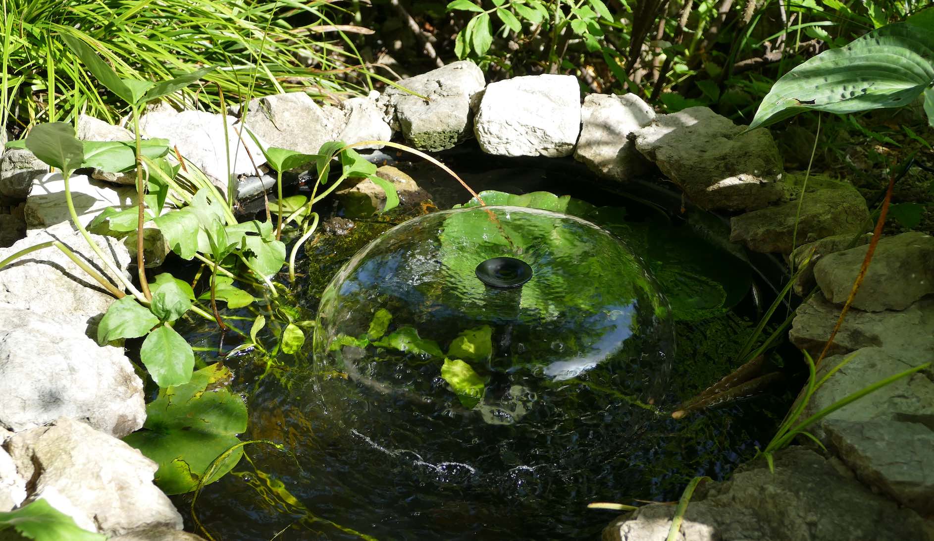 Ein dunkler Gartenteich mit Steinen umrandet, in dem ein Wasserspiel ein glockenförmiges Muster erzeugt