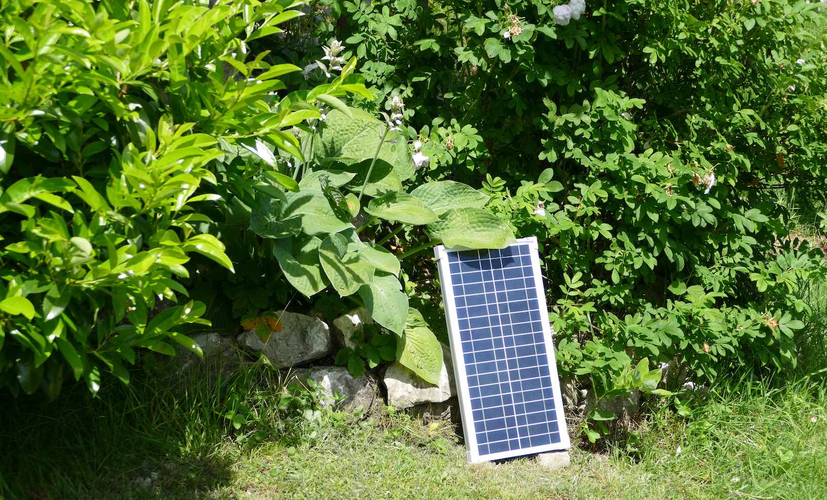 Ein kleines, mobiles Photovoltaik-Panel steht zum Testen auf einer Wiese vor Büschen im Garten