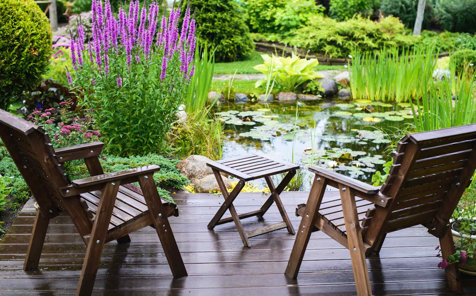 Feuchte Holzterrasse mit zwei Stühlen und einem kleinen Tisch vor einem Gartenteich mit Seerosen und lilafarbenen Pflanzen