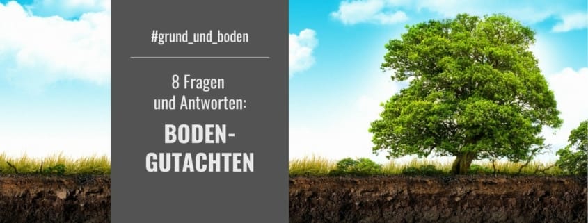 Die obere Erdschicht mit Wurzeln von Gras auf der linken Seite und einem Baum auf der rechten Seite