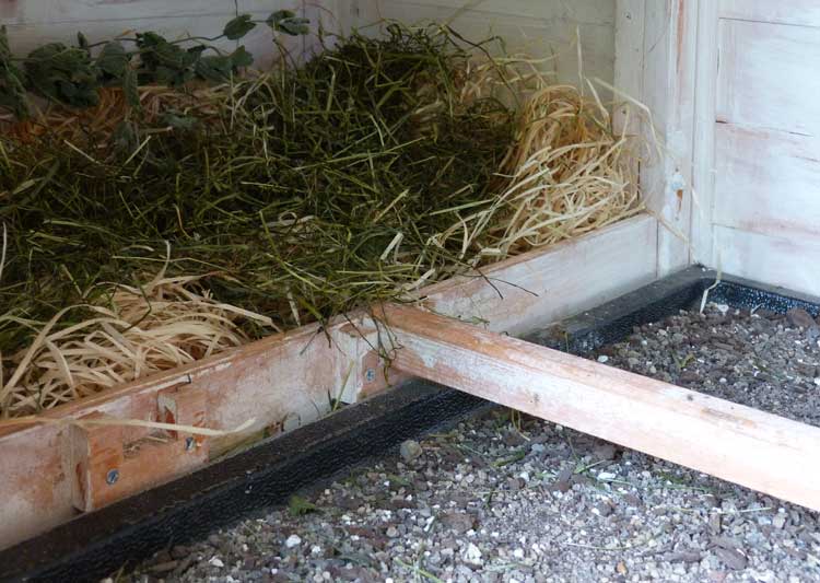 Innenansicht eines Hühnerstalls mit Einstreu aus Heu und Stroh in einer Nistbox sowie Futterresten auf dem Boden