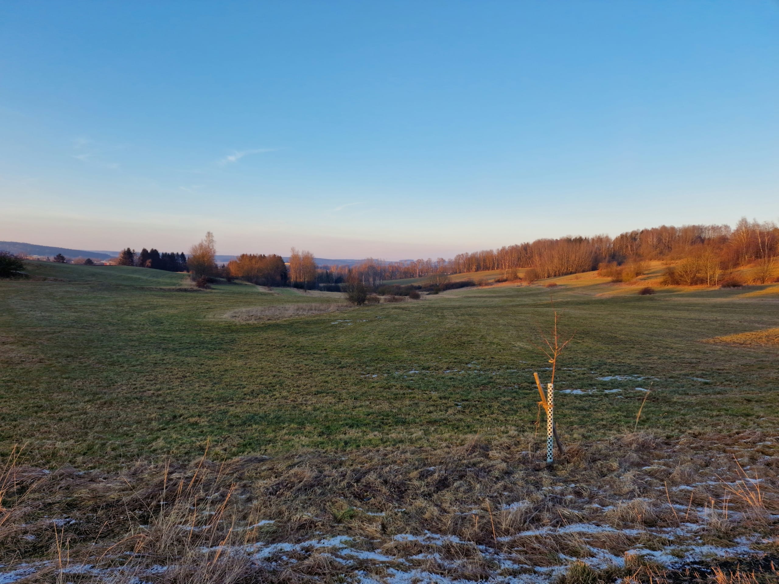 Wiesenlandschaft im Fichtelgebirge mit Bäumen am Horizont unter blauem Himmel und erster Schneedecke