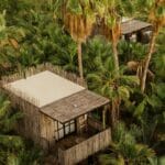 Baumhäuser des Acre Resorts, eingerahmt von Palmen und tropischer Vegetation auf der Baja California Halbinsel