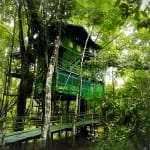Baumhaus des Ariaú Amazon Towers Hotel in Manaus, Brasilien, umgeben von dichtem Grün