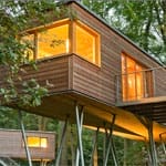 Baumhaussuite in Massivholzbauweise des Resort Baumgeflüster umgeben von Bäumen und Natur in der Abenddämmerung