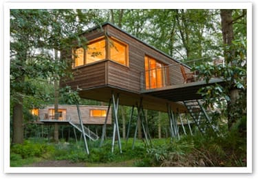 Baumhaus-Suiten des Resorts Baumgeflüster auf Stelzen zwischen Bäumen, Licht in Fenstern und auf Terrassen