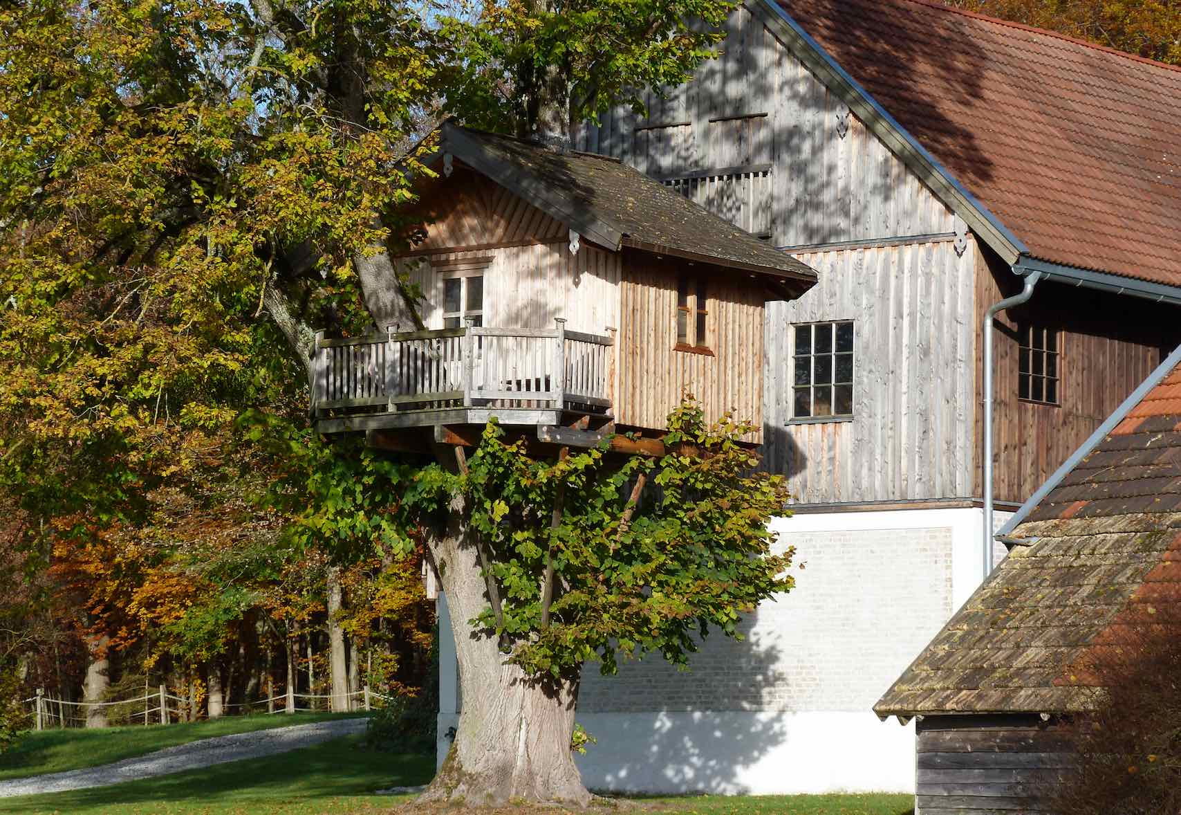 Ein Baumhaus aus hellem Holz mit Balkon, an einem dicken Baumstamm befestigt, daneben ein großes Holzhaus