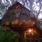 Baumhaus im Saraii Village auf Sri Lanka bei Nacht, mit Licht das durch das Strohdach scheint