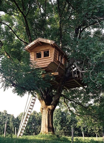 Hölzernes Baumhaus mit Spitzdach und Leiter, integriert in den großen Baum eines Waldes
