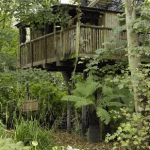 Baumhaus in üppiger britischer Natur, mit Holzterrasse und umgeben von Farnen und Bäumen