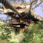 Baumhaus des Naturschutzprojekts The Gibbon Experience in Laos, durch das eine Seilrutsche führt