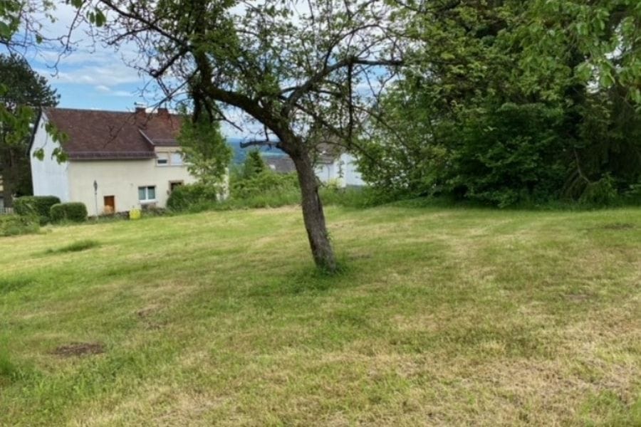 Großes Baugrundstück in Kemmenau bei Bad Ems mit Wiese, einzelnem Baum und Nachbarhaus