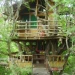 Baumhaus des Sanya Nanshan Treehouse Resort auf Hainan in alten Tamarindenbäumen direkt am Strand