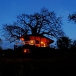 Beleuchtetes Baumhaus auf Chole Island, Tansania, bei Nacht umgeben von Bäumen in der Abenddämmerung
