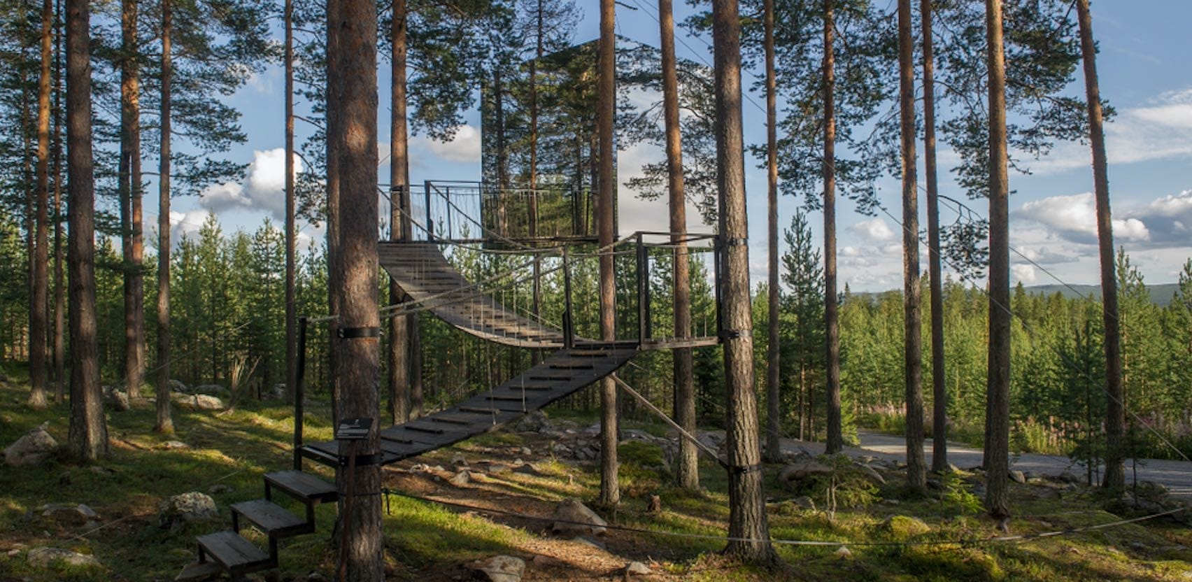 Ein Baumhaus mit reflektierenden Wänden und einer Hängebrücke zwischen hohen Nadelbäumen im Wald