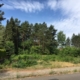 D-29556 Suderburg,